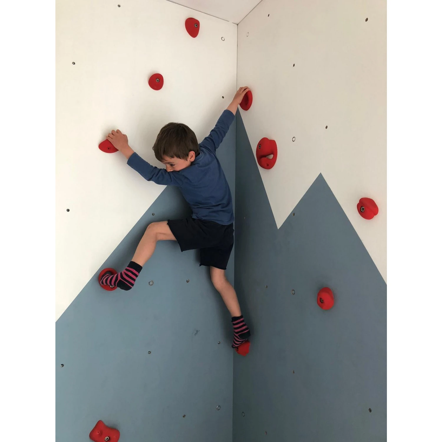 Set 1 - Set Of 22 Climbing Holds S-XL - Image 4