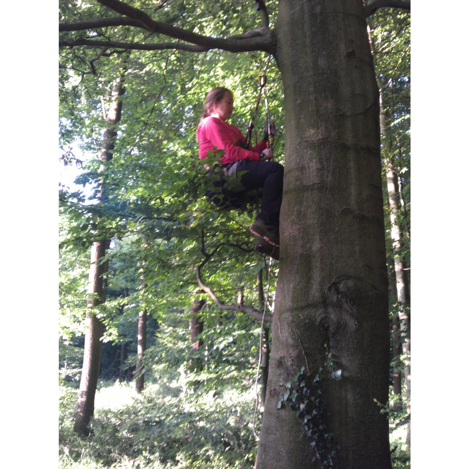 Mammut Ophir 3 Slide - Climbing Harness - Image 5