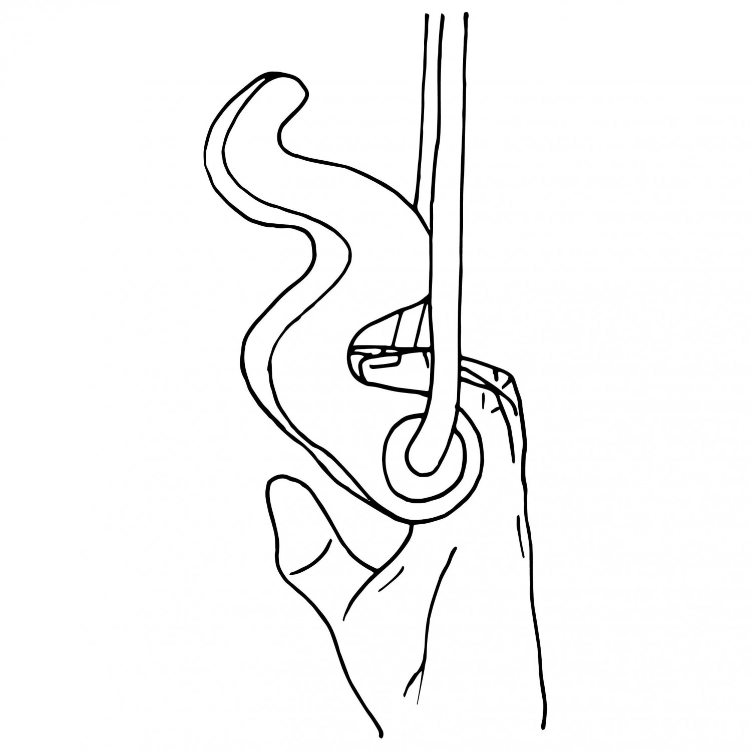 Max Climbing Maxgrip Hybrid - Training Grips - Image 9