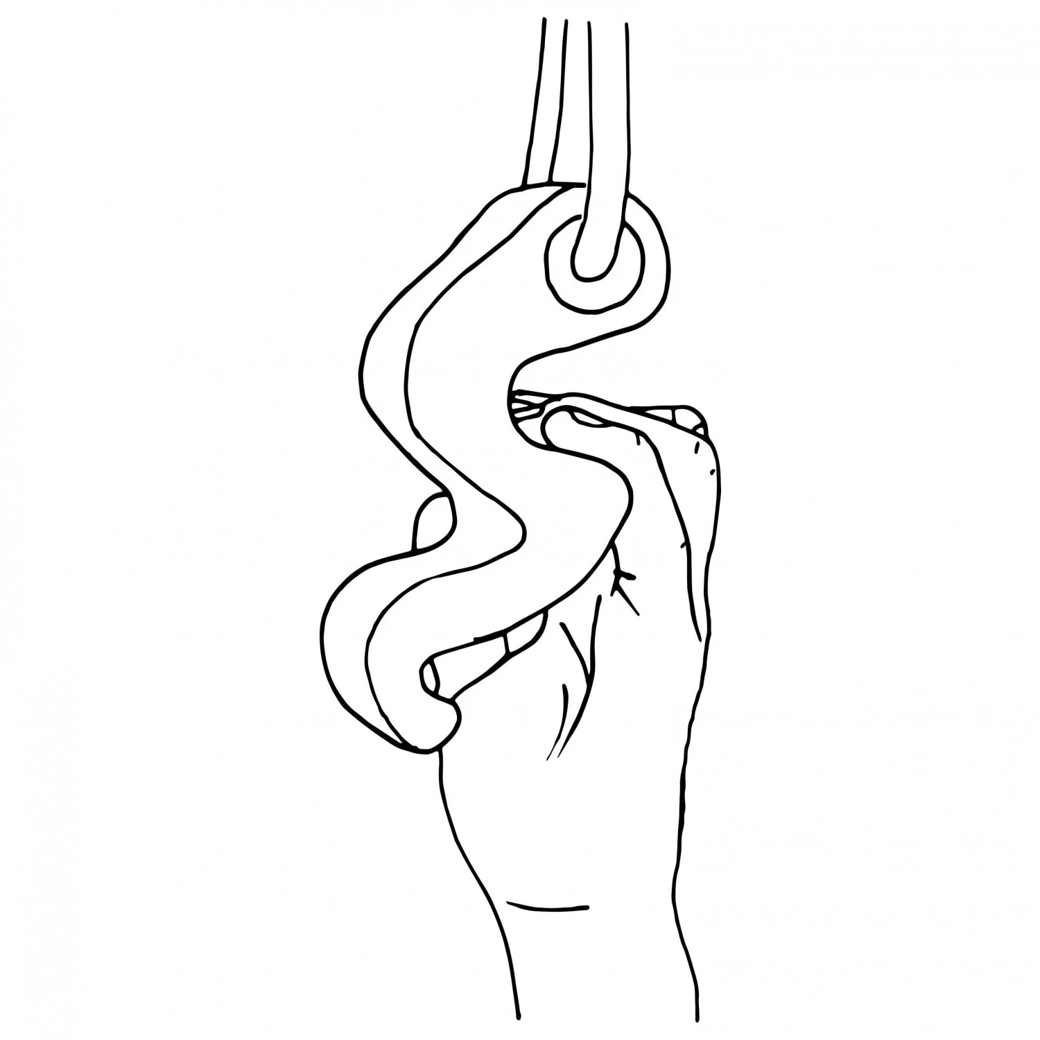 Max Climbing Maxgrip - Training Grips - Image 2