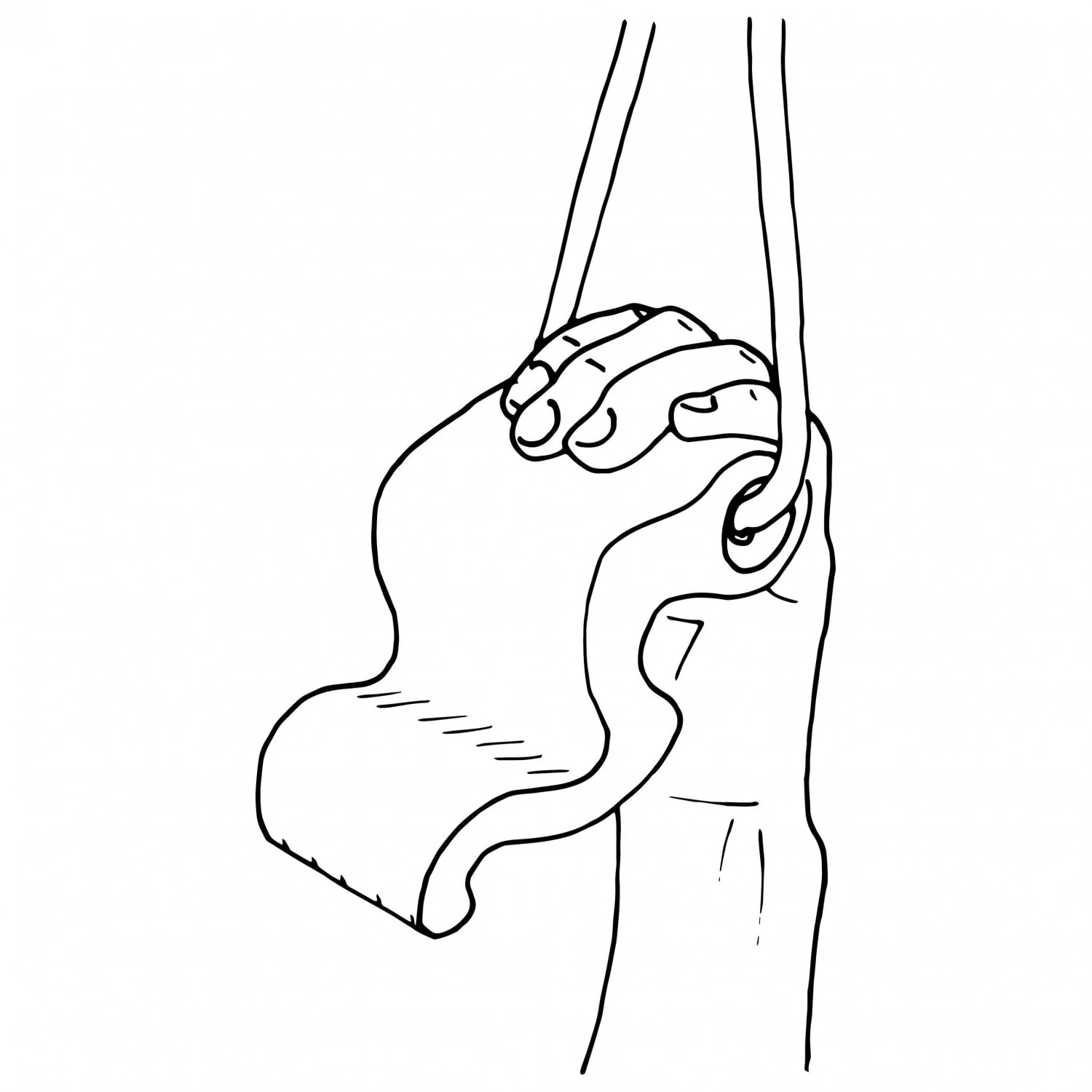 Max Climbing Maxgrip - Training Grips - Image 3