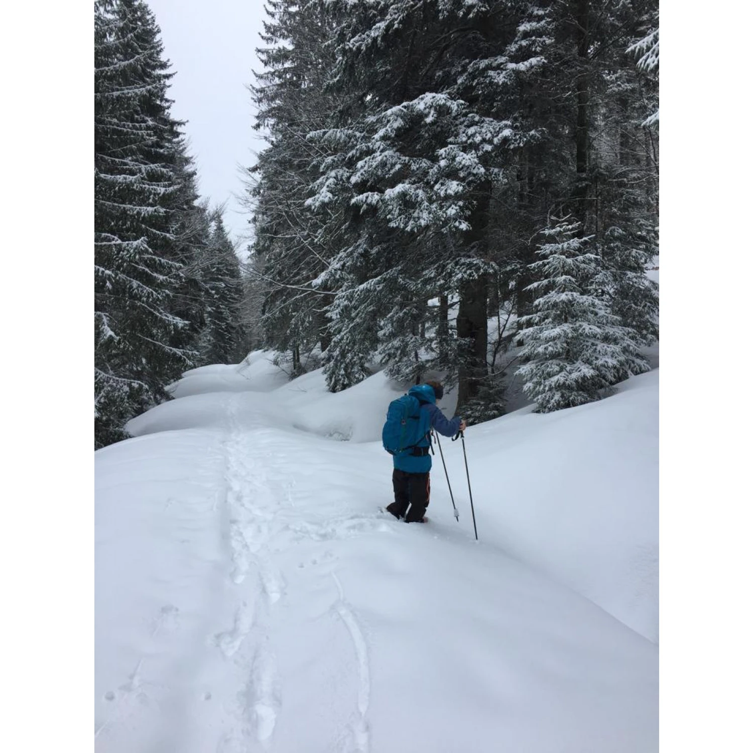 Ortovox 3L Ortler Pants - Waterproof Trousers - Image 6