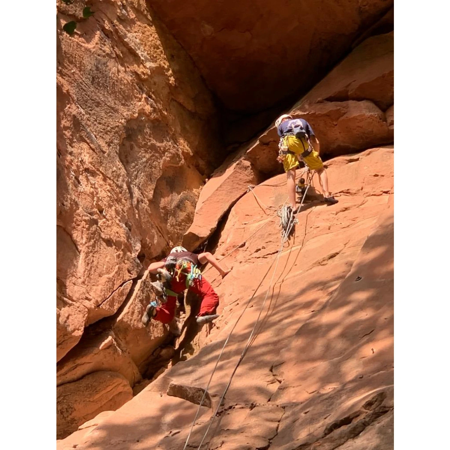 Petzl Meteor Helmet - Climbing Helmet - Image 5