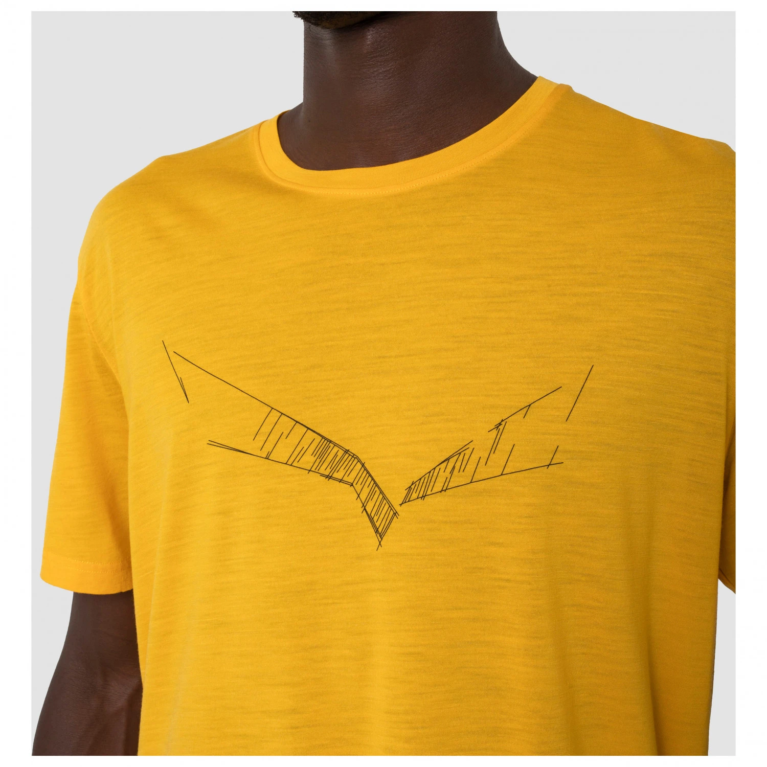 SALEWA Pure Eagle Sketch Alpine Merino T-shirt - Merino Shirt - Image 4